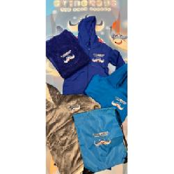 Stingrays Swim School