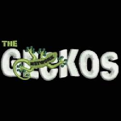 The Geckos Shop